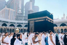Antisipasi, Ini 3 Skema Mitigasi Kendala di Tanah Suci yang Disiapkan Kemenhaj Jambi