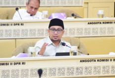 Dewan Minta Kebijakan WFH bagi ASN Dievaluasi Berkala
