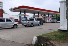 Jambi Siap Gunakan Biodiesel B50, Masyarakat Diminta Tak Khawatir