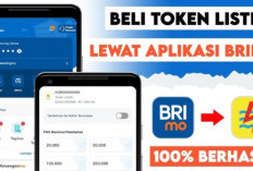 Tak Perlu Lagi ke Kota, IRT di Empat Lawang Ini Terbantu Beli Token Listrik Lewat BRImo