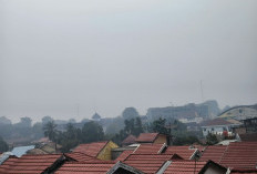 Jambi Berasap! Kondisi Udara Hari Ini Masuk Kategori Tidak Sehat, Warga Keluhkan Mata Perih dan Sulit Bernafas