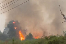Karhutla di Penyengat Rendah, Kobaran Api Bakar Lahan dan Asap Pekat Membumbung