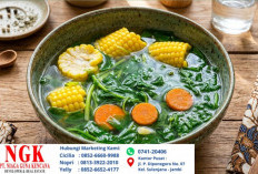 Resep Membuat Sayur Bening Sebagai Pelengkap Menu Masakan di Rumah