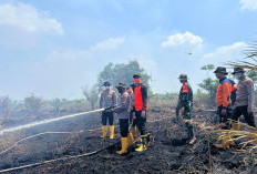 Jambi Mulai Berasap, Belum Ada Imbauan Pakai Masker