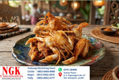 Resep Membuat Baby Crab Krispi Renyah Secara Sederhana