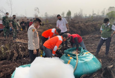 Karo Ops Polda Jambi Cek Karhutla di Londerang, Tim Uji Zat Khusus untuk Padamkan Api di Lahan Gambut