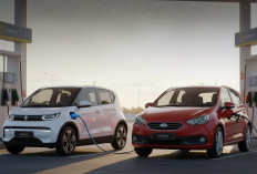 Adu Hemat! Mobil Listrik atau Mobil Bensin, Mana Paling Worth It?