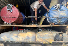 23 Ribu Liter BBM Diduga Ilegal dari Bayat Menuju Muara Bungo Digagalkan, Polisi Amankan 4 Orang