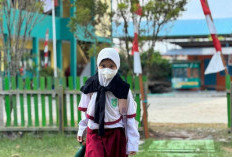 Kualitas Udara Memburuk Akibat Karhutla, Kemenkes: Muaro Jambi Masuk dalam Kategori Berbahaya