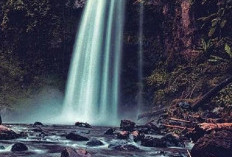Jelajah Eksotisme Alam Jambi: Dari Puncak Bukit, Air Terjun Tersembunyi hingga Danau Biru