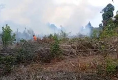 Status Siaga Darurat Karhutla Tebo Diperpanjang, Puncak Musim Kemarau Sepanjang Agustus