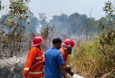 Lagi dan Lagi, Kebakaran Lahan Terjadi di Desa Bukit Baling Muaro Jambi