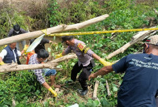 Geger di Muaro Jambi! Mayat Pria Mengapung di Kanal Sungai Gelam, Kondisinya Sudah Sulit Dikenali