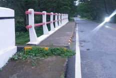 Belasan Tahun Jembatan Zone V-1 SKK Migas-PetroChina di Rantau Karya Tanjabtim Membantu Kelancaran Lalulintas