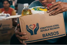 Panduan Lengkap Cara Cek Penerima Bansos PKH dan BPNT Kemensos