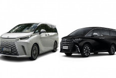 Lexus LM atau Toyota New Alphard? Ini Duel MPV Mewah Andalan Keluarga Sultan dan Pejabat