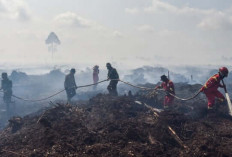Muaro Jambi Dikepung 392 Titik Panas, BMKG Ingatkan Puncak Kemarau Masih Mengancam