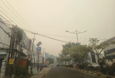 AQI Jambi 354 Pukul 08.00 WIB, Udara Masuk Kategori Berbahaya