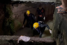 Ini Perkembangan Pencarian Bocah 5 Tahun yang Hanyut di Drainase Saat Hujan Lebat di Kota Jambi