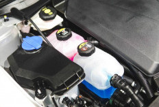  Menjaga Performa Kendaraan Listrik: Perawatan Cairan Pendingin Baterai Mobil Listrik dan Hybrid Krusial
