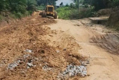 Bangkitkan Ekonomi: PTPN IV Perbaiki 12 Km Jalan Desa, Bawa Harapan Baru bagi 1.750 Keluarga di Muaro Jambi