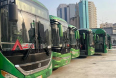 Wajib Dibawa! Kartu Rute Bus Haji Jadi Penyelamat Jemaah Haji 2026 Agar Tak Tersesat di Mekkah