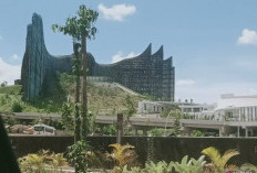 Apa Kabar Pembangunan IKN? Simak Penjelasannya di Sini