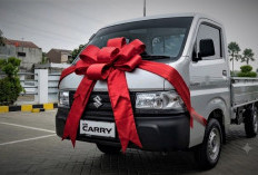 Raja Pikap Ringan! Suzuki New Carry Jadi Pilihan Utama Armada Bisnis 2026