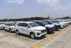 oyota Kuasai 41% Pasar Global, BYD Geser Merek Jepang di China Ini Peta Mobil Terlaris 61 Negara