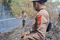 Puluhan Hektare Lahan Terbakar di Tebo, Polri Bersama TNI dan Instansi Lainnya Lakukan Pemadaman 