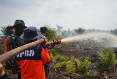 Api di Bawah Tanah Jadi Ancaman, Danrem 042/Gapu Turun Langsung Padamkan Karhutla di Air Merah