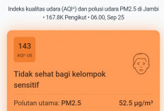 Sehari Setelah Hujan, Kualitas Udara Kota Jambi Masih di Angka 143