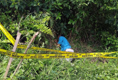 HEBOH! Mayat Pria Ditemukan di Semak Pinggir Jalan Sengeti, Identitas Misterius Bikin Warga Resah