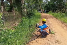 Warga Resah Pencurian Kabel Listrik Terus Berlangsung di Muaro Jambi, Minta Aparat Kepolisian Turun Tangan