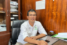 BKSDA Jambi Lepas 11 Satwa ke Alam Liar, Ada Beruang Madu hingga Tapir