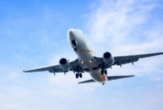  Kemenhub Tegaskan Kenaikan Tiket Pesawat Tidak Boleh di Atas 13 Persen