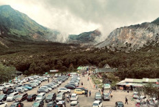 Libur Nataru! Ribuan Wisatawan Kunjungi Gunung Papandayan di Garut
