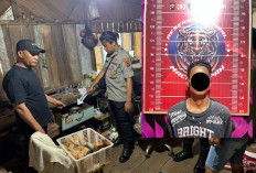 Tak Sampai 24 Jam! Perampok Lansia 80 Tahun di Tanjab Timur Ditangkap Saat Mau Kabur Lewat Laut