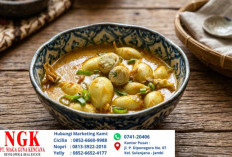 Resep Membuat Gulai Cumi Bunting, Sajian Nusantara Yang Menggugah Selera