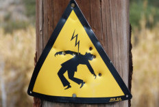 Nekat Curi Kabel Gardu PLN Saat Subuh, Pria di Jambi Tersengat Listrik dan Terpental dari Ketinggian 4 Meter!