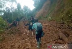 Desa Koto Rawang Masih Terisolasi, Pemkab Merangin Upayakan Pengiriman Alat Berat