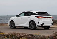 Aura Mewah Makin Kental, SUV Kelas Sultan Lexus RX350 2026 Curi Perhatian Sejak Kemunculannya