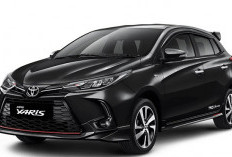 Masih Jadi Rebutan di Juli 2026! Segini Pasaran Harga Yaris TRD Sportivo Bekas Tahun Muda