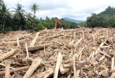 Nah Loh! Bareskrim Naikkan Kasus Kayu Terseret Banjir di Sumut ke Penyidikan