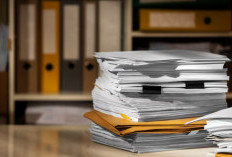 Konflik Tapal Batas Dua Desa di Muaro Jambi, anpa Surat Resmi, Tim Terpadu Tak Bisa Bergerak