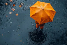 Bikin Bingung? Musim Kemarau Tapi Masih Hujan, Ini Penjelasan BMKG