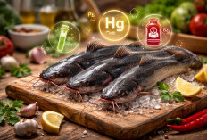 Studi Terbaru Temukan Lele Menyerap Racun, Ini 3 Pilihan Ikan Pengganti