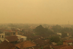 Waspada! Tanjab Timur Dikepung 600 Titik Panas