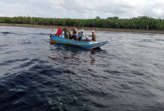 Serem! Anak Usia 14 Tahun di Air Hitam Laut Tanjab Timur Diterkam Buaya, Upaya Pencarian Masih Dilakukan