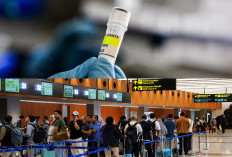 Hantavirus Mengintai: Bandara Soetta Skrining Ketat Penumpang dari AS, Argentina, Uruguay, Panama